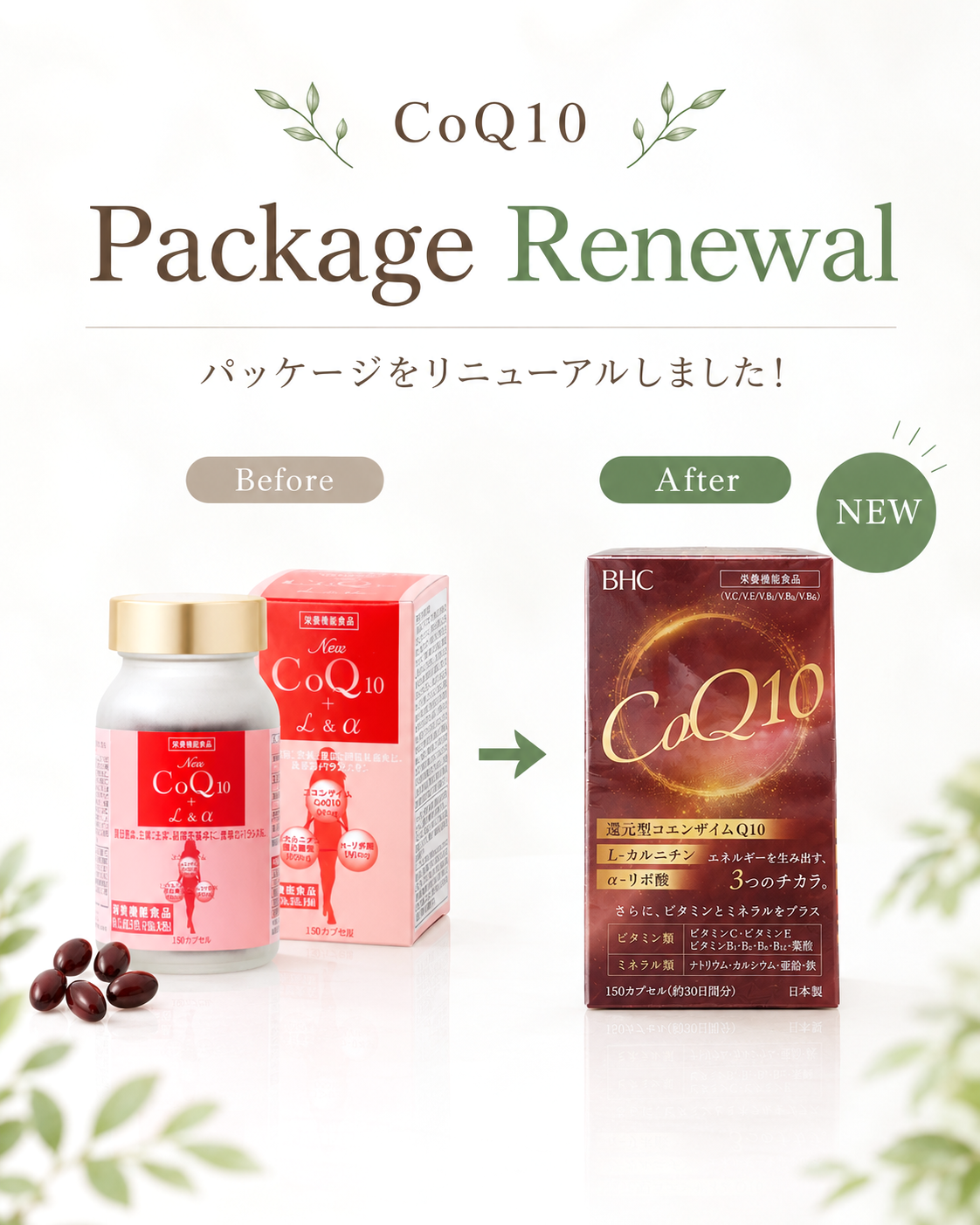 BHC コエンザイムQ10 + L&α (定期便)